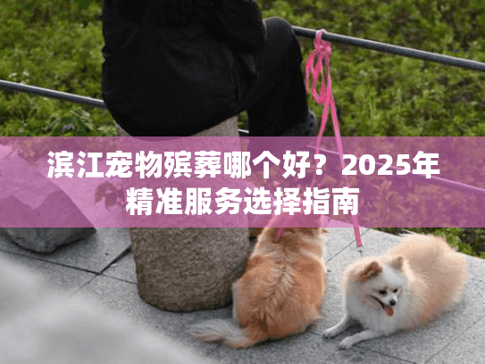 滨江宠物殡葬哪个好？2025年精准服务选择指南
