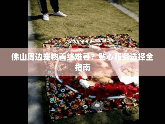 佛山周边宠物善终难寻？贴心服务选择全指南