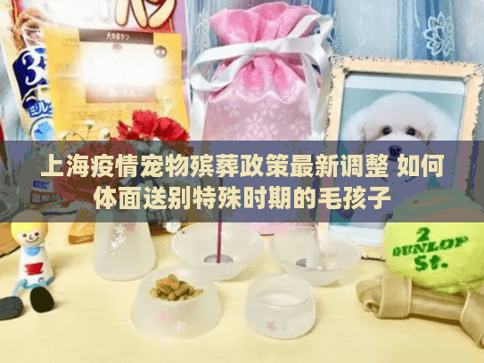 上海疫情宠物殡葬政策最新调整 如何体面送别特殊时期的毛孩子