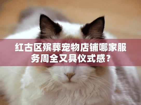 红古区殡葬宠物店铺哪家服务周全又具仪式感？
