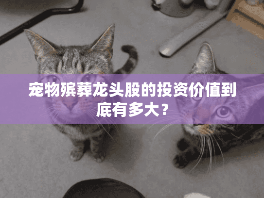 宠物殡葬龙头股的投资价值到底有多大？