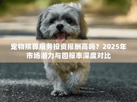 宠物殡葬服务投资报酬高吗？2025年市场潜力与回报率深度对比