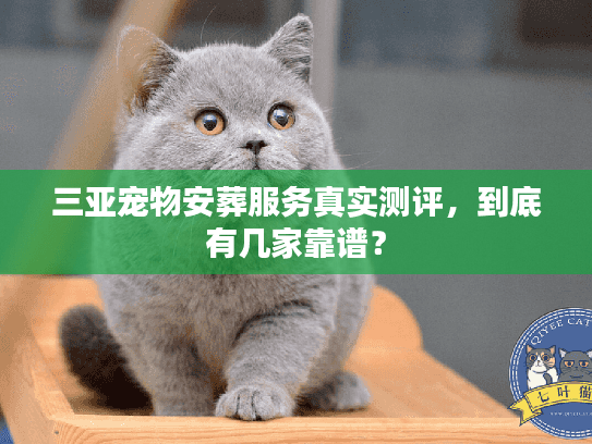 三亚宠物安葬服务真实测评，到底有几家靠谱？