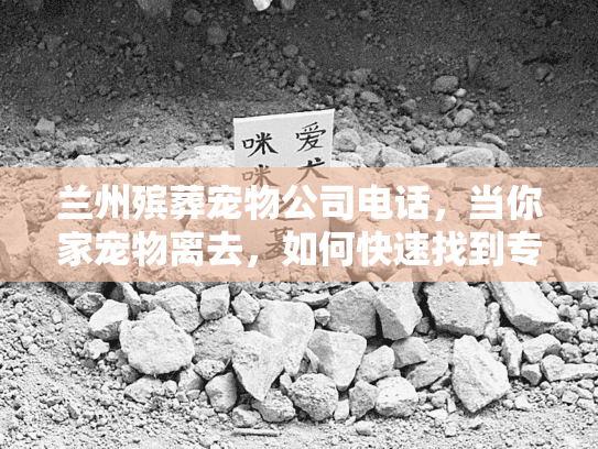 兰州殡葬宠物公司电话，当你家宠物离去，如何快速找到专业安葬服务？