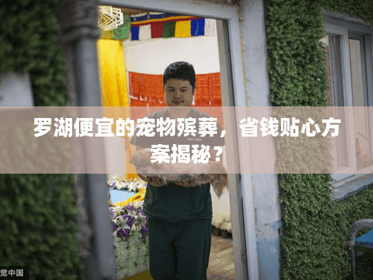 罗湖便宜的宠物殡葬，省钱贴心方案揭秘？