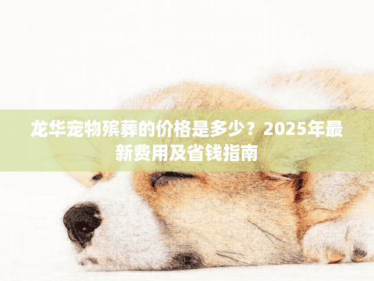 龙华宠物殡葬的价格是多少？2025年最新费用及省钱指南