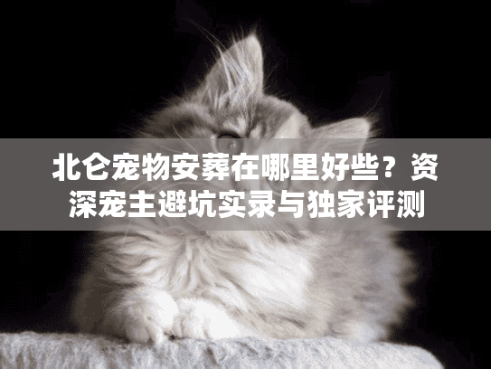 北仑宠物安葬在哪里好些？资深宠主避坑实录与独家评测