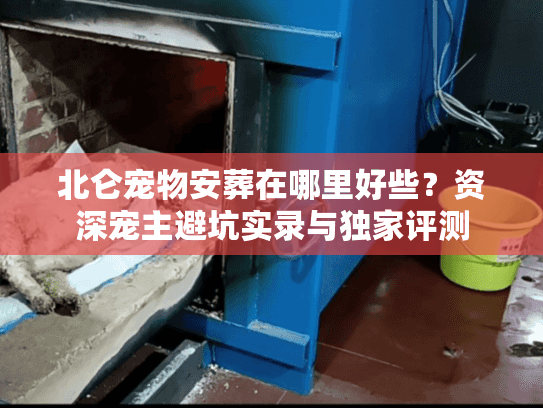北仑宠物安葬在哪里好些？资深宠主避坑实录与独家评测