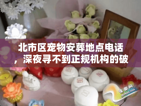 北市区宠物安葬地点电话，深夜寻不到正规机构的破解法