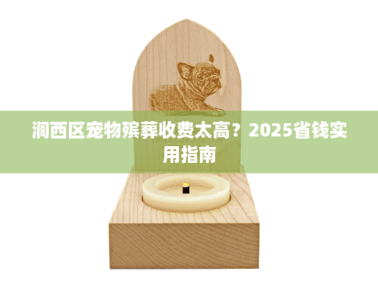 涧西区宠物殡葬收费太高？2025省钱实用指南
