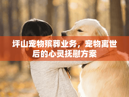坪山宠物殡葬业务，宠物离世后的心灵抚慰方案
