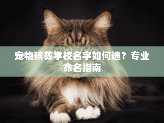 宠物殡葬学校名字如何选？专业命名指南