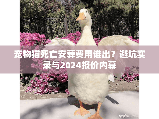 宠物猫死亡安葬费用谁出?避坑实录与2024报价内幕 宠物猫死亡安葬费用谁出?避坑实录与2024报价内幕