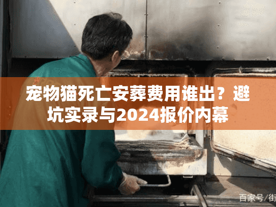 宠物猫死亡安葬费用谁出?避坑实录与2024报价内幕 宠物猫死亡安葬费用谁出?避坑实录与2024报价内幕
