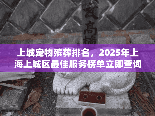 上城宠物殡葬排名，2025年上海上城区最佳服务榜单立即查询！
