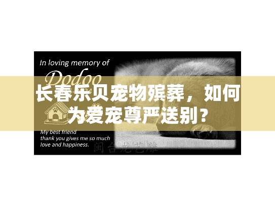 长春乐贝宠物殡葬，如何为爱宠尊严送别？