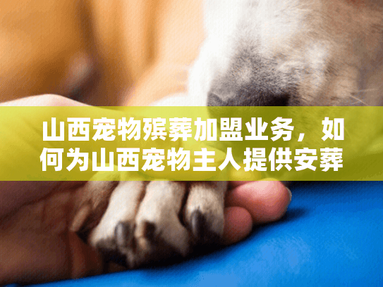 山西宠物殡葬加盟业务，如何为山西宠物主人提供安葬解决之道？