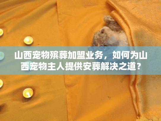 山西宠物殡葬加盟业务，如何为山西宠物主人提供安葬解决之道？