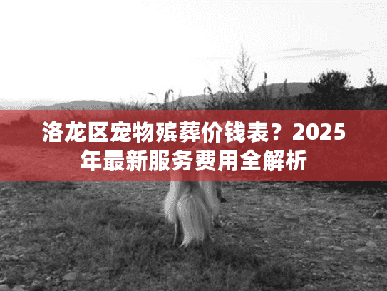 洛龙区宠物殡葬价钱表？2025年最新服务费用全解析