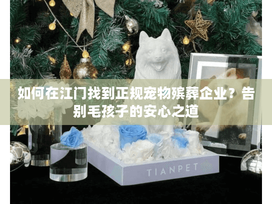 如何在江门找到正规宠物殡葬企业？告别毛孩子的安心之道