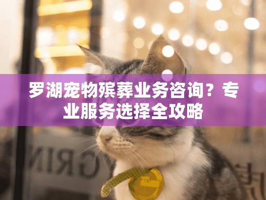 罗湖宠物殡葬业务咨询？专业服务选择全攻略
