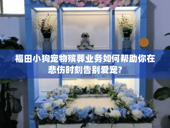 福田小狗宠物殡葬业务如何帮助你在悲伤时刻告别爱宠?