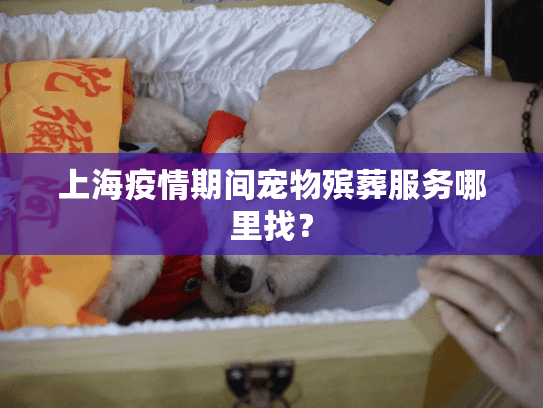 上海疫情期间宠物殡葬服务哪里找？