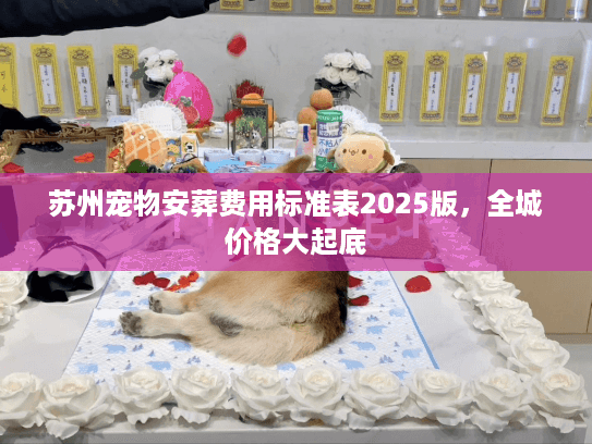 苏州宠物安葬费用标准表2025版，全城价格大起底
