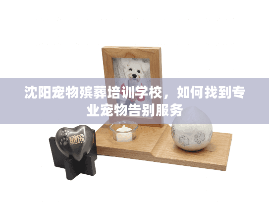 沈阳宠物殡葬培训学校，如何找到专业宠物告别服务