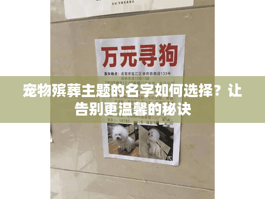 宠物殡葬主题的名字如何选择？让告别更温馨的秘诀