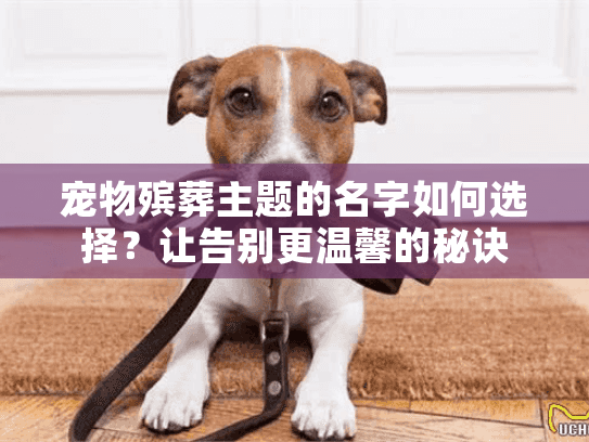 宠物殡葬主题的名字如何选择？让告别更温馨的秘诀