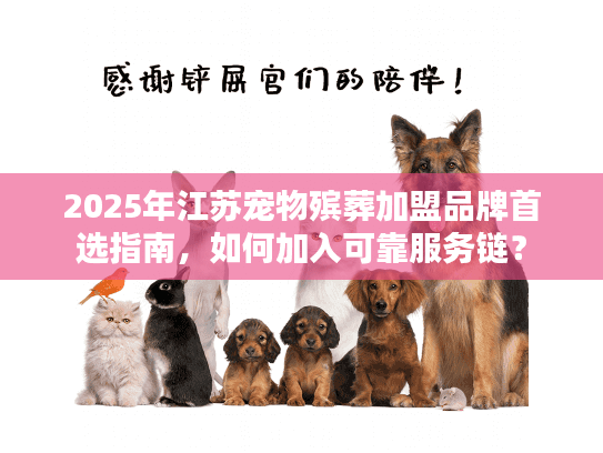 2025年江苏宠物殡葬加盟品牌首选指南，如何加入可靠服务链？