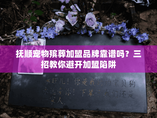 抚顺宠物殡葬加盟品牌靠谱吗？三招教你避开加盟陷阱