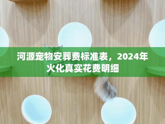 河源宠物安葬费标准表，2024年火化真实花费明细