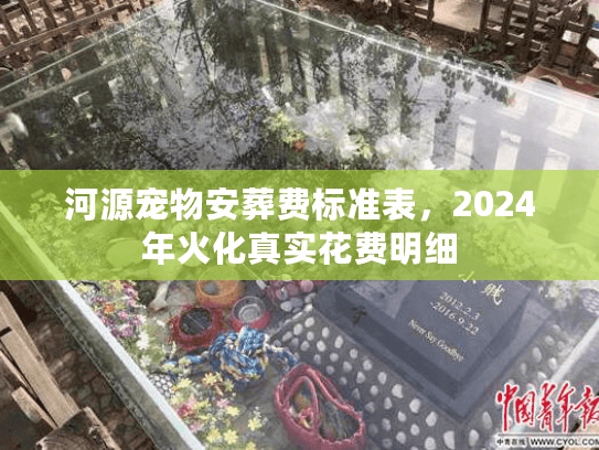 河源宠物安葬费标准表，2024年火化真实花费明细