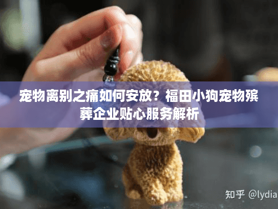 宠物离别之痛如何安放？福田小狗宠物殡葬企业贴心服务解析