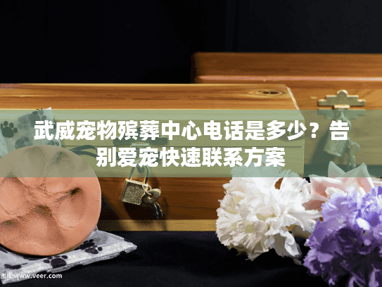 武威宠物殡葬中心电话是多少？告别爱宠快速联系方案