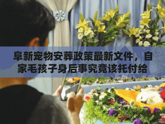 阜新宠物安葬政策最新文件，自家毛孩子身后事究竟该托付给谁？