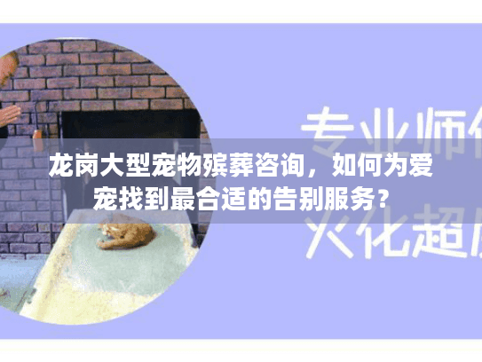 龙岗大型宠物殡葬咨询，如何为爱宠找到最合适的告别服务？