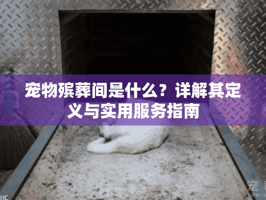 宠物殡葬间是什么？详解其定义与实用服务指南
