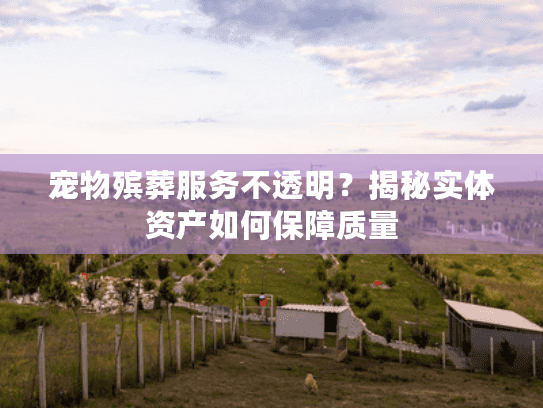 宠物殡葬服务不透明？揭秘实体资产如何保障质量