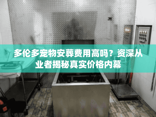 多伦多宠物安葬费用高吗？资深从业者揭秘真实价格内幕