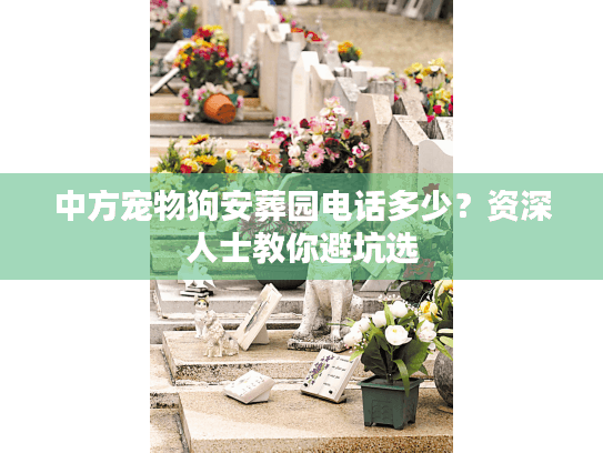 中方宠物狗安葬园电话多少？资深人士教你避坑选