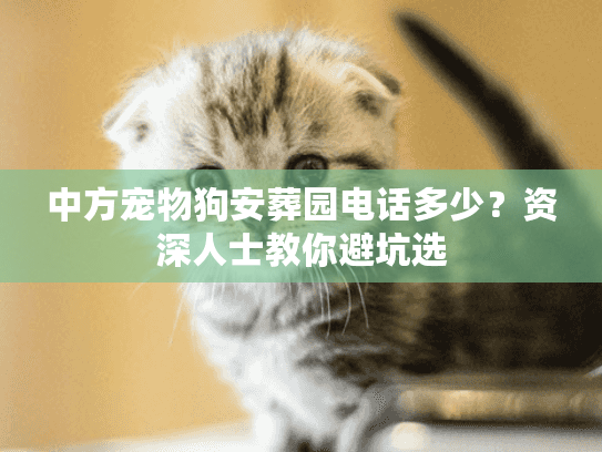 中方宠物狗安葬园电话多少？资深人士教你避坑选