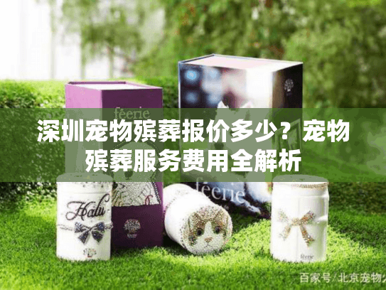 深圳宠物殡葬报价多少？宠物殡葬服务费用全解析