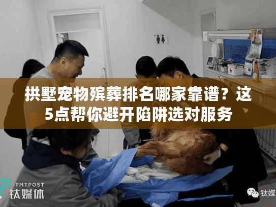 拱墅宠物殡葬排名哪家靠谱？这5点帮你避开陷阱选对服务
