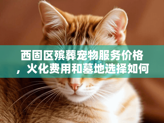 西固区殡葬宠物服务价格，火化费用和墓地选择如何透明化？