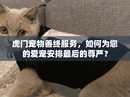 虎门宠物善终服务，如何为您的爱宠安排最后的尊严？
