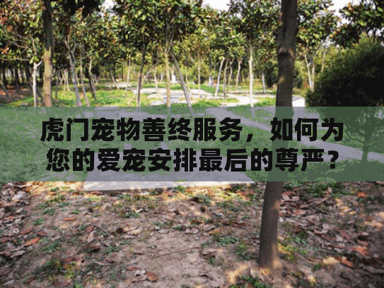 虎门宠物善终服务，如何为您的爱宠安排最后的尊严？