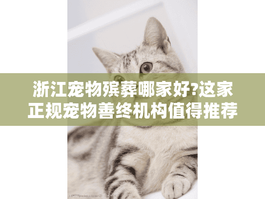 浙江宠物殡葬哪家好?这家正规宠物善终机构值得推荐!